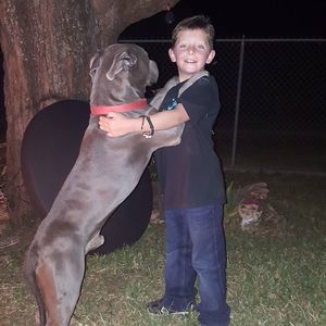 Meet your Posher, Brenda